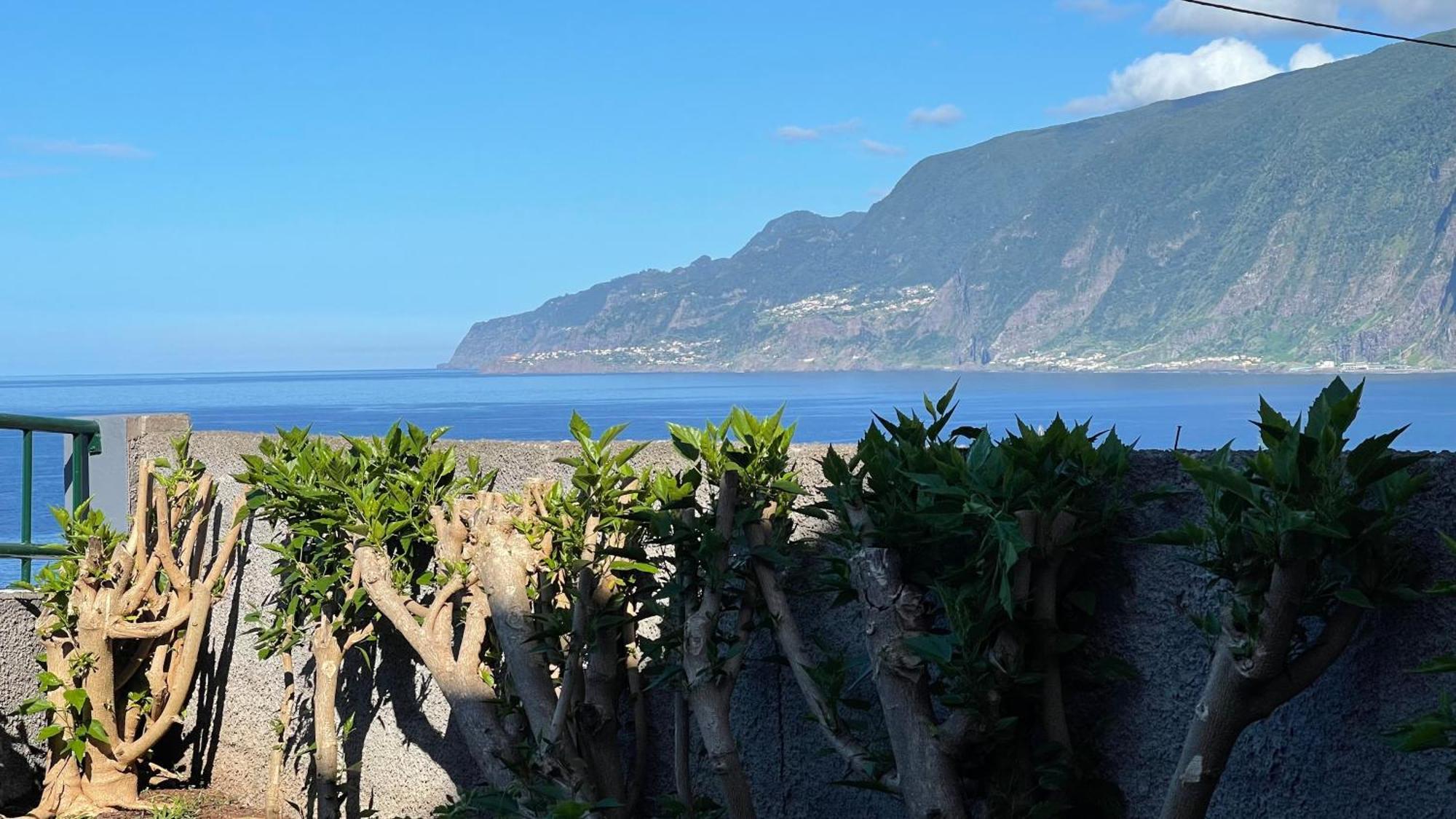 Apartment Casas Hortas, Vista Serra E Mar Seixal (Madeira)
